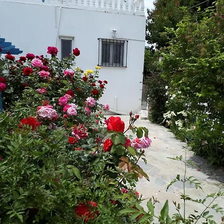 Roula's Andros Town